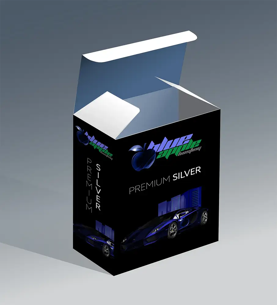 Premium Silver Hosting